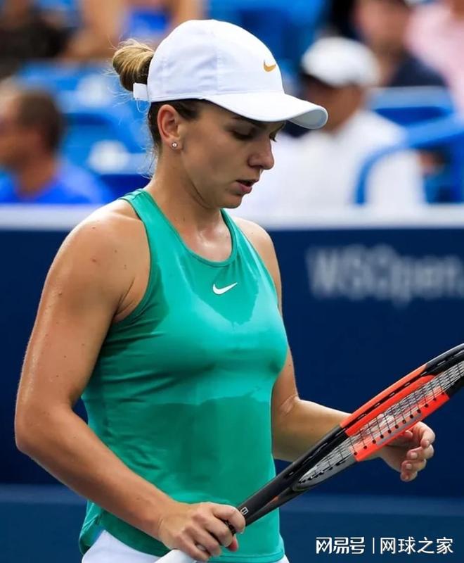 的哈兰德 的哈兰德